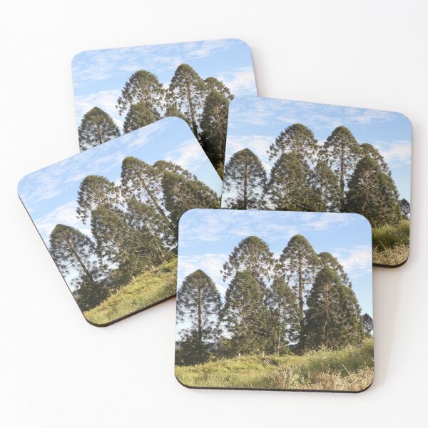 Item preview, Bunya trees over one hundred years old. designed and sold by Jenny  Dyer.