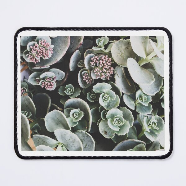 Item preview, Stone Crop Sedum designed and sold by abramichellemorris.