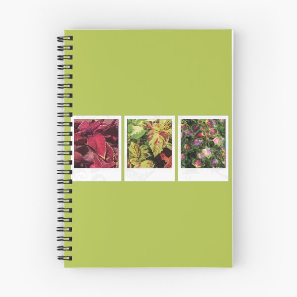 Item preview, Coleus Photo Collection [mix bundle] designed and sold by deadbeatprince-typography.