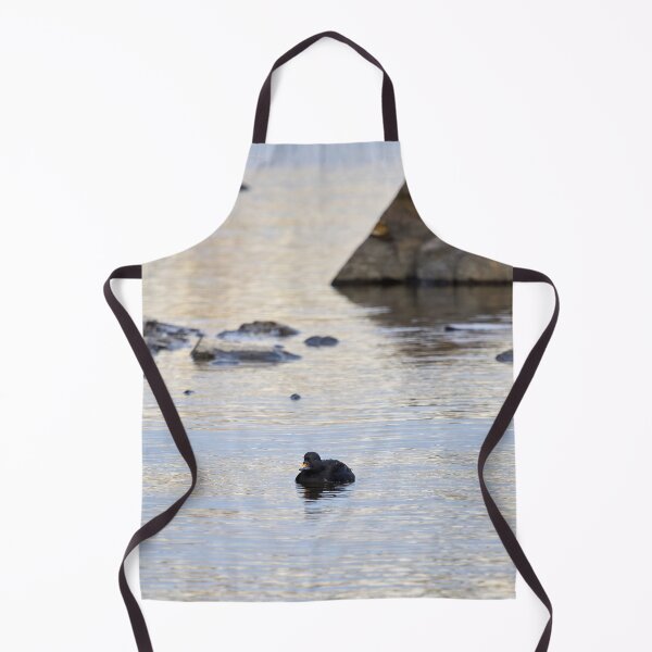 Item preview, Resting. Common scoter designed and sold by Jouko Lehto Photography.