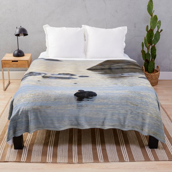 Item preview, Resting. Common scoter designed and sold by Jouko Lehto Photography.