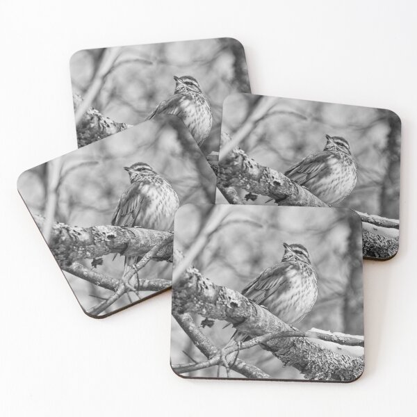 Item preview, The song. Redwing bw designed and sold by Jouko Lehto Photography.