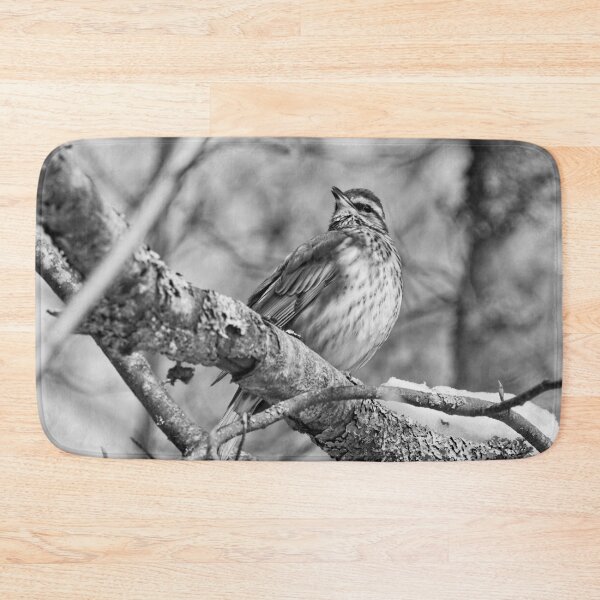Item preview, The song. Redwing bw designed and sold by Jouko Lehto Photography.