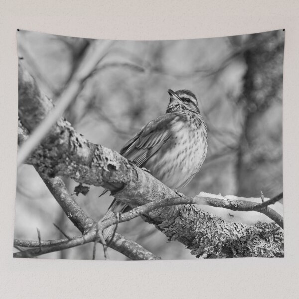 Item preview, The song. Redwing bw designed and sold by Jouko Lehto Photography.