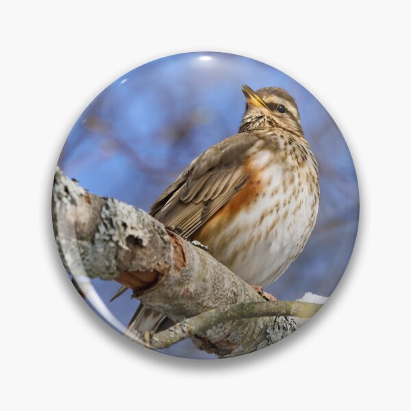 Item preview, The song. Redwing designed and sold by Jouko Lehto Photography.