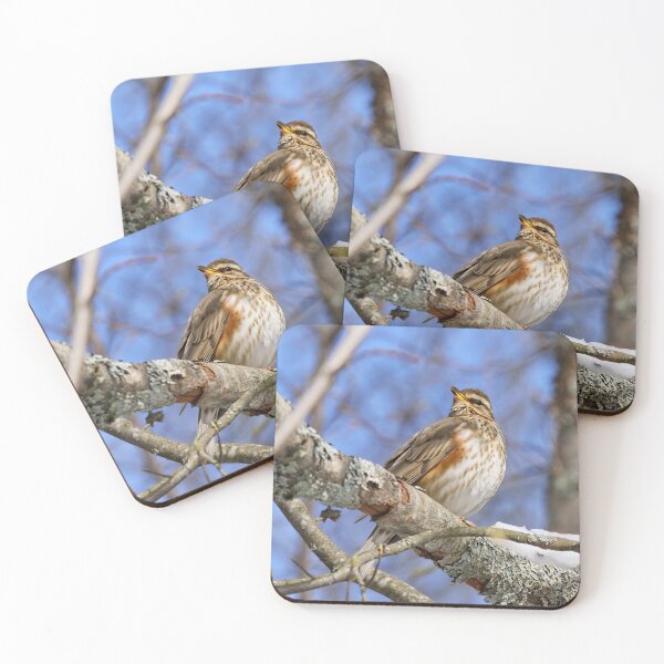 Item preview, The song. Redwing designed and sold by Jouko Lehto Photography.