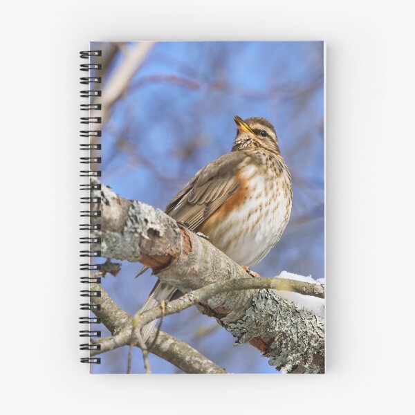 Item preview, The song. Redwing designed and sold by Jouko Lehto Photography.