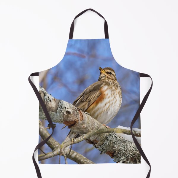 Item preview, The song. Redwing designed and sold by Jouko Lehto Photography.