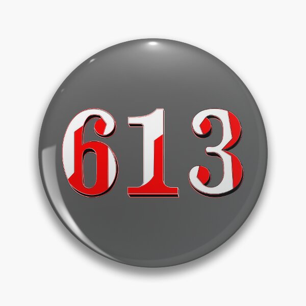 Item preview, number six hundred and thirteen digit 613 order sequence team member age designed and sold by 4rpixs.