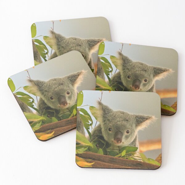 Item preview, The cutest baby koala among the gumleaves, Australia  designed and sold by FranWest.