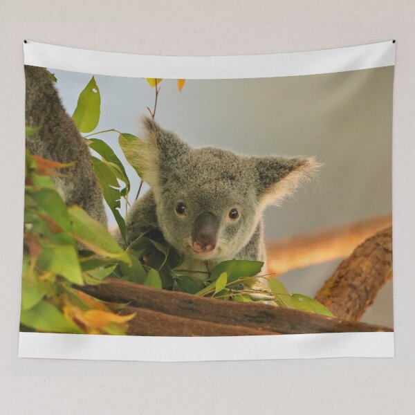 Item preview, The cutest baby koala among the gumleaves, Australia  designed and sold by FranWest.