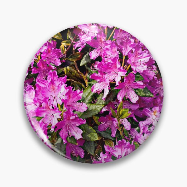 Item preview, Rhododendron Purple 2024 designed and sold by Iainmcdowell.