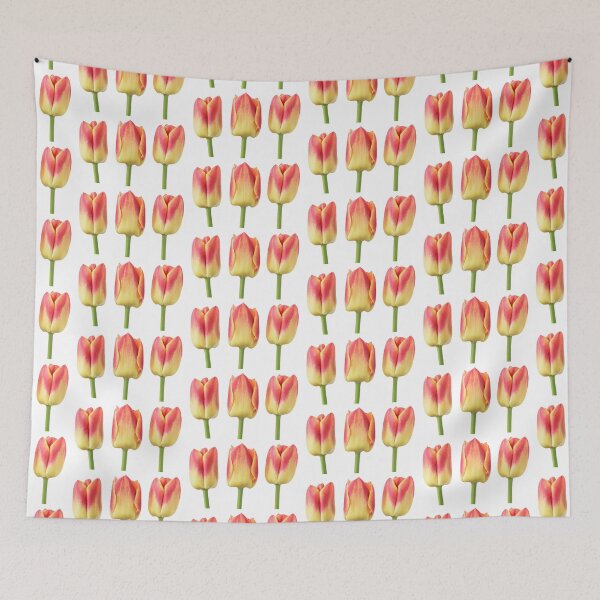 Item preview, Tulipa 'Candy Corner' Triumph Tulip designed and sold by Chris Burrows.