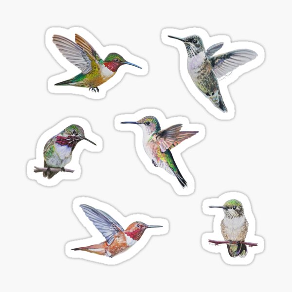 Item preview, Hummingbirds - set of 6  designed and sold by Emily Bickell.