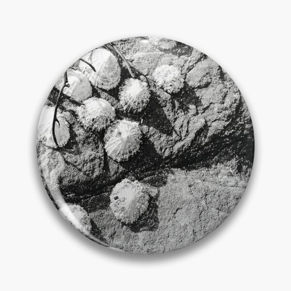 Item preview, Limpets on Rock Rathmullan Black and White Vertical designed and sold by eddiebarronshop.