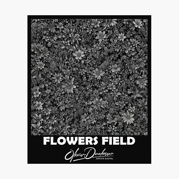 Aperçu de l'œuvre Flowers field 44 créée et vendue par olivier duchossoir.