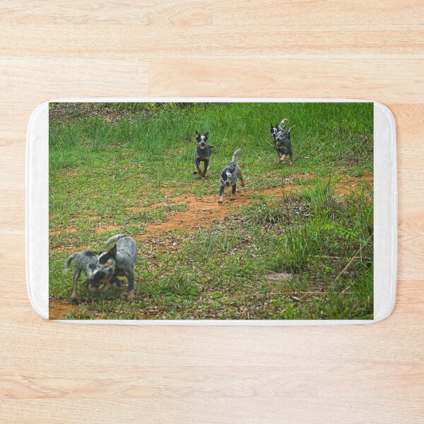 Item preview, Kla the pack designed and sold by pcfyi.