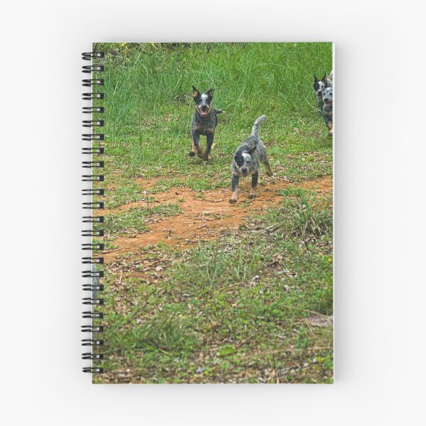 Item preview, Kla the pack designed and sold by pcfyi.