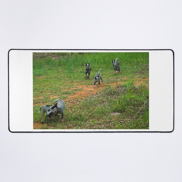 Item preview, Kla the pack designed and sold by pcfyi.