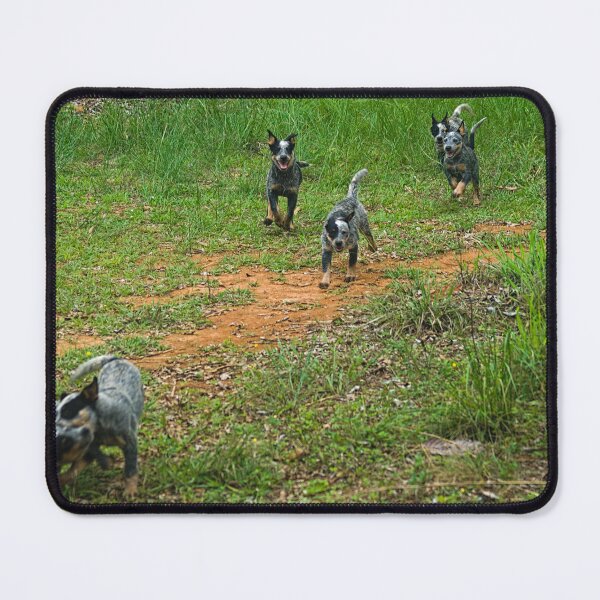 Item preview, Kla the pack designed and sold by pcfyi.