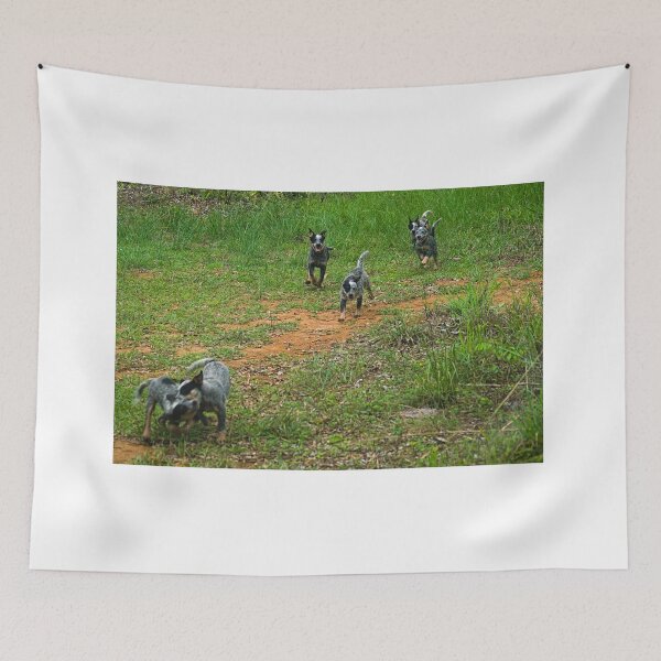 Item preview, Kla the pack designed and sold by pcfyi.