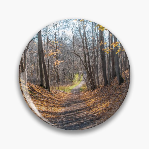 Item preview, Path Through an Autumn Forest designed and sold by jrtwynam.