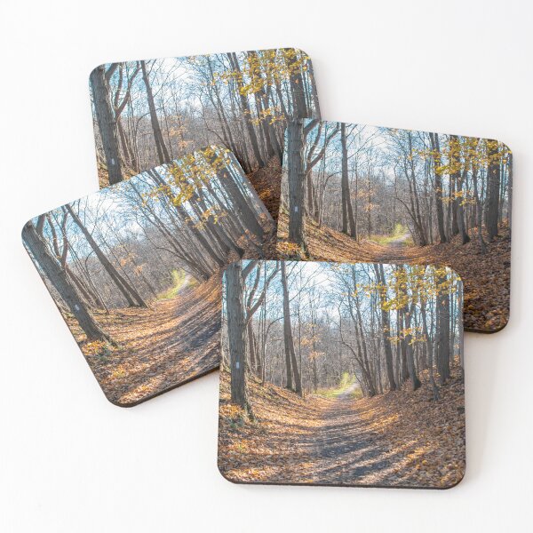 Item preview, Path Through an Autumn Forest designed and sold by jrtwynam.