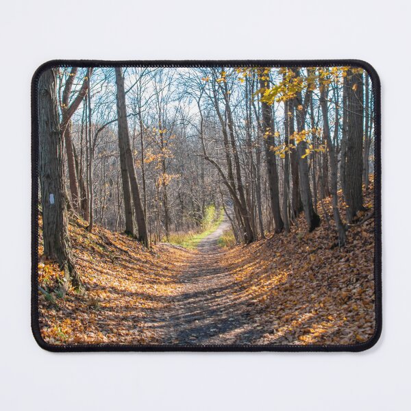 Item preview, Path Through an Autumn Forest designed and sold by jrtwynam.