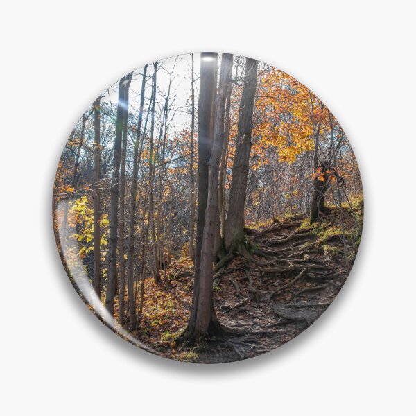 Item preview, Sun Shines on a Hiking Trail in Ontario designed and sold by jrtwynam.