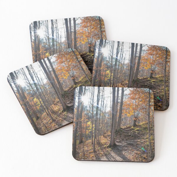 Item preview, Sun Shines on a Hiking Trail in Ontario designed and sold by jrtwynam.