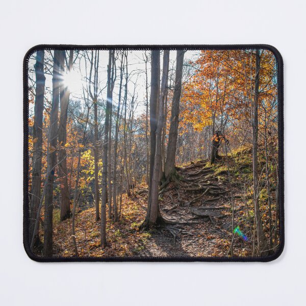 Item preview, Sun Shines on a Hiking Trail in Ontario designed and sold by jrtwynam.