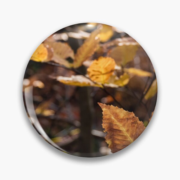 Item preview, Sun Shines on Autumn Leaves in a Forest designed and sold by jrtwynam.