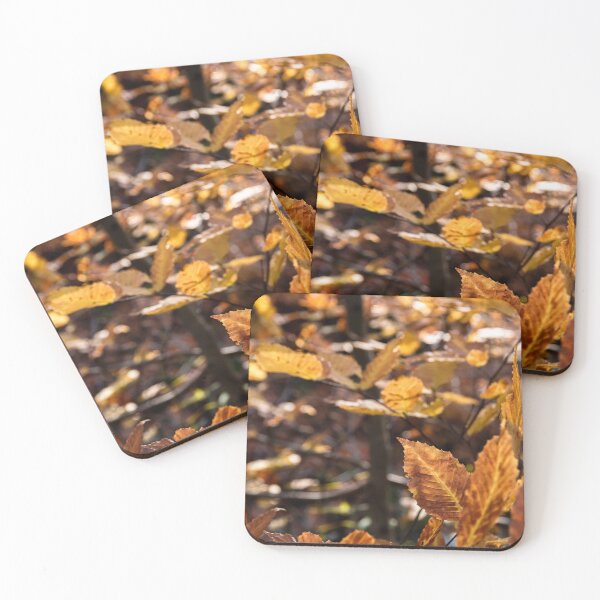 Item preview, Sun Shines on Autumn Leaves in a Forest designed and sold by jrtwynam.
