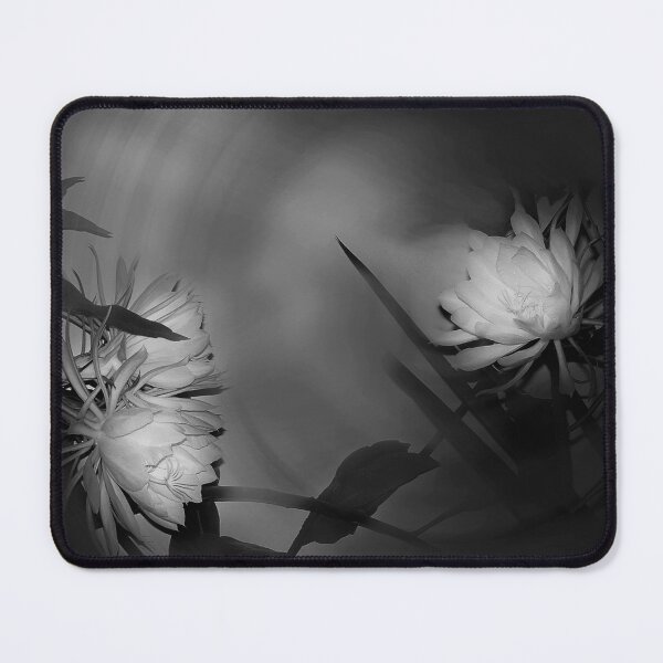 Item preview, Cereus Moonlight Monochrome Stock image designed and sold by Wayne King.