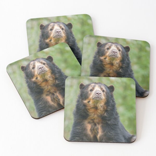 Item preview, Graceful Andean Bear in Lush Habitat designed and sold by rawshutterbug.