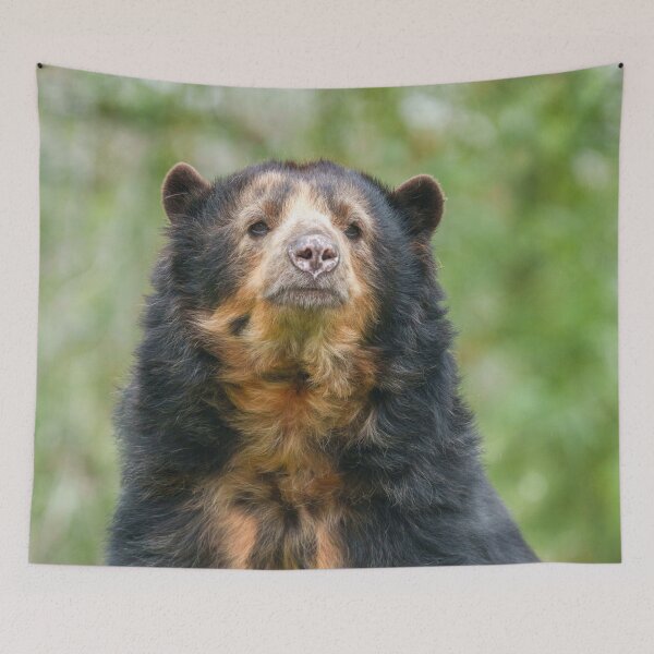 Item preview, Graceful Andean Bear in Lush Habitat designed and sold by rawshutterbug.