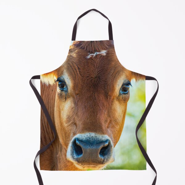 Item preview, Soulful looking brahma cow looking at you designed and sold by noblephoto.