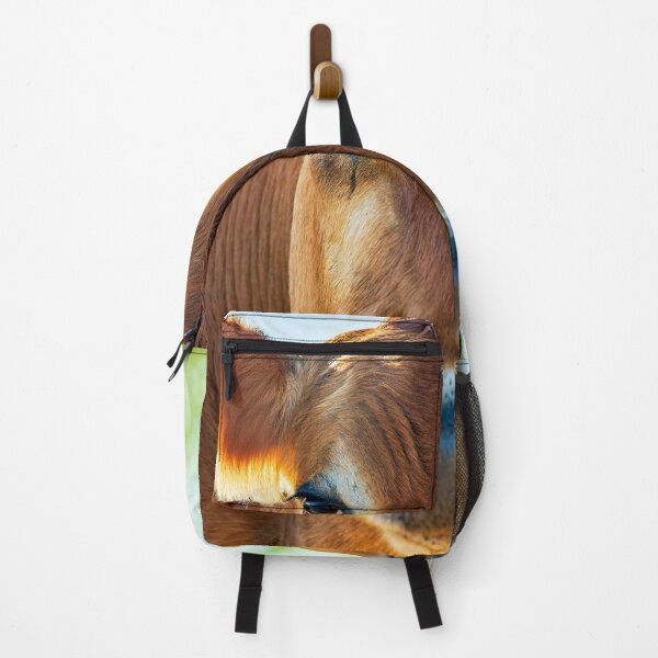 Item preview, Soulful looking brahma cow looking at you designed and sold by noblephoto.