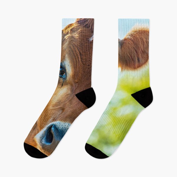 Item preview, Soulful looking brahma cow looking at you designed and sold by noblephoto.