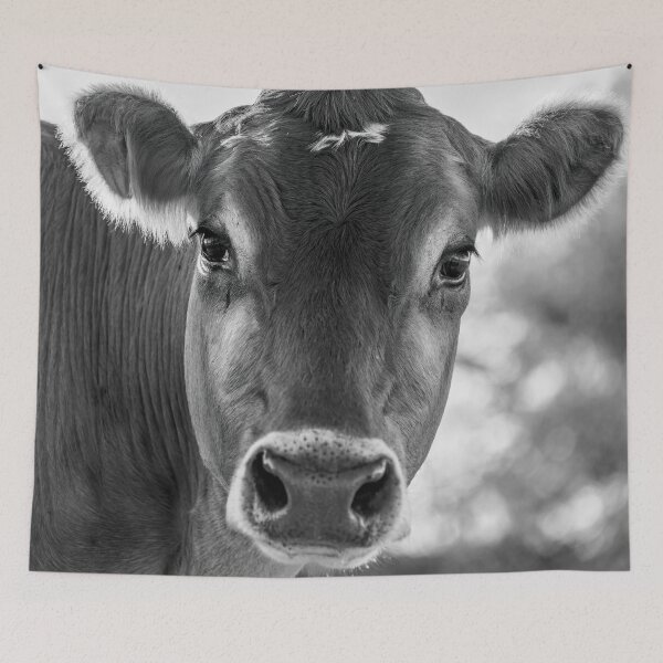 Item preview, Copy of Soulful looking brahma cow looking at you designed and sold by noblephoto.