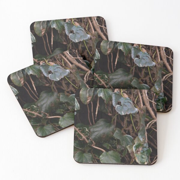 Item preview, cool vines growing vertical designed and sold by N00DL3.