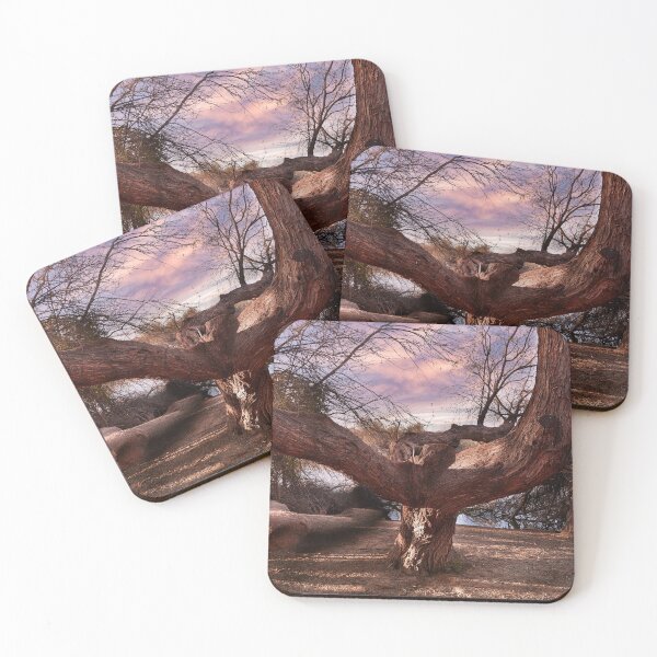 Item preview, A Confused Tree designed and sold by BGSPhoto.