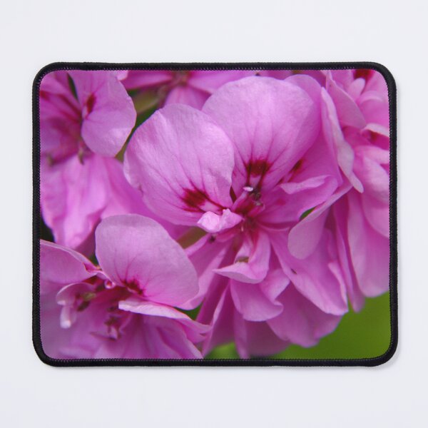 Item preview, Spring Blossoms designed and sold by vernonplatt.