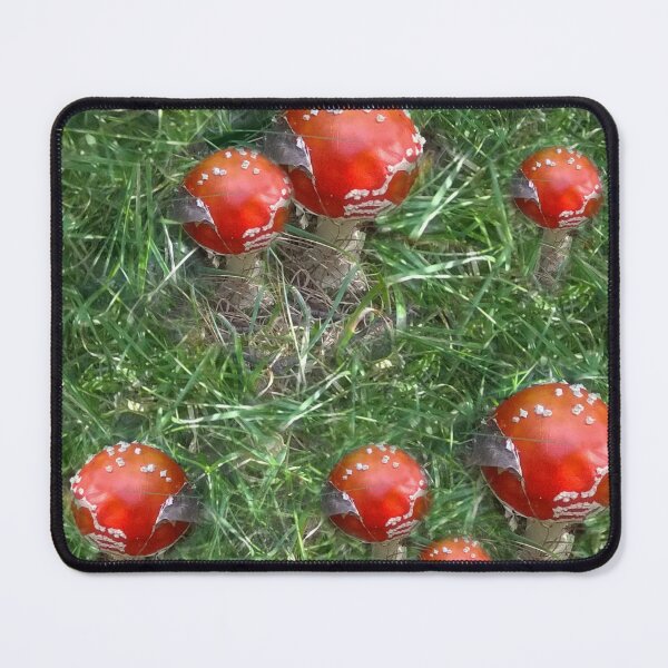 Item preview, Giant red mushroom designed and sold by CreativeWorld96.