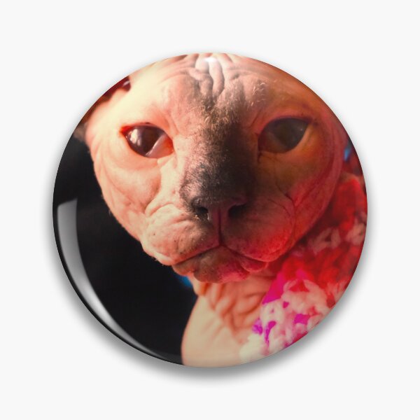 Item preview, Hero , Sphyns Cat designed and sold by corichard.