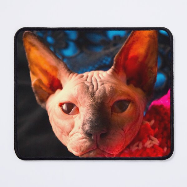 Item preview, Hero , Sphyns Cat designed and sold by corichard.