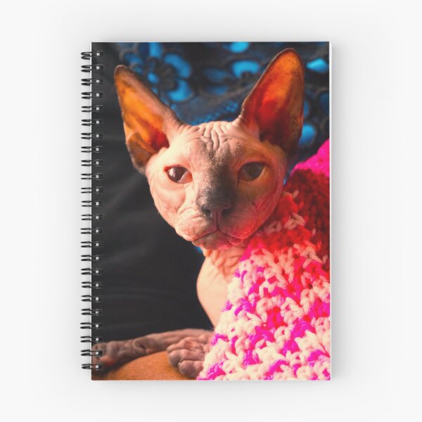 Item preview, Hero , Sphyns Cat designed and sold by corichard.