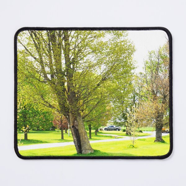 Item preview, Canadian Sprint time designed and sold by corichard.