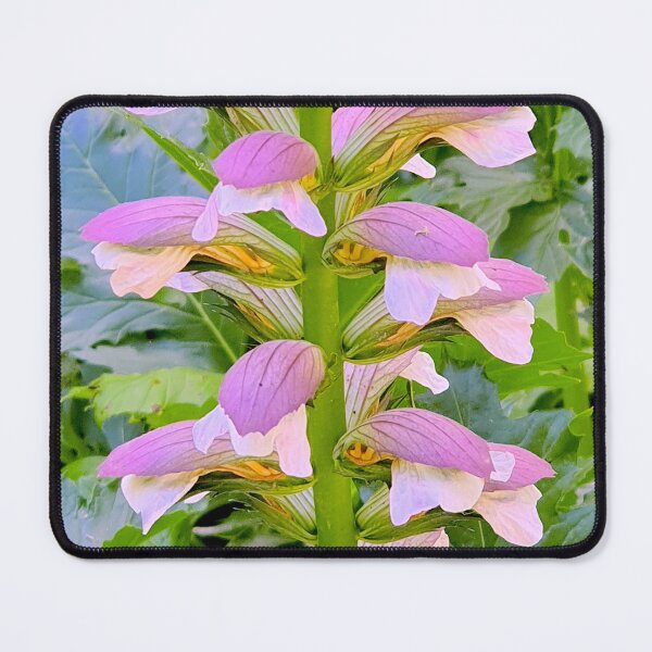 Item preview, Miraflores flower. Lisbon designed and sold by Tereza Pilar Art.