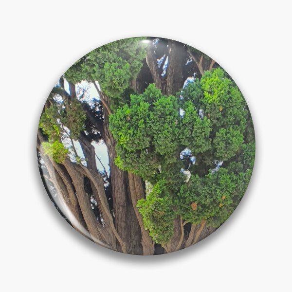 Item preview, Cedro em Belém. Jerónimos designed and sold by Tereza Pilar  Art.